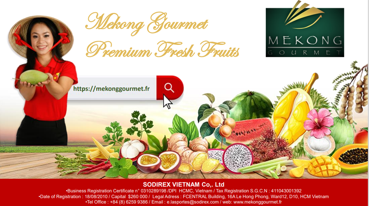 WEB PAGE Mekong Gourmet Png